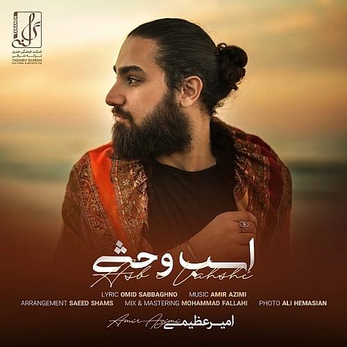 Cover artwork for Asbe Vahshi by Amir Azimi